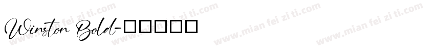Winston Bold字体转换